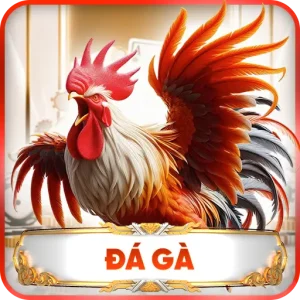 đá gà ee88